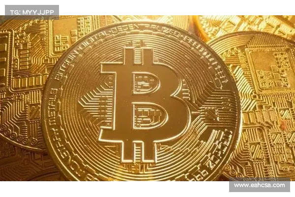 全球第二:中非共和国宣布采用比特币作为法定货币 全球第二:中非共和国宣布采用比特币作为法定货币